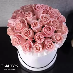 Шляпная коробка № 9