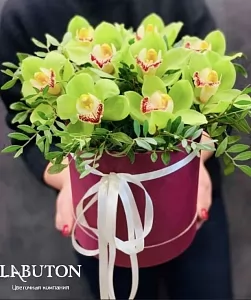 Орхидеи в шляпной коробке 2